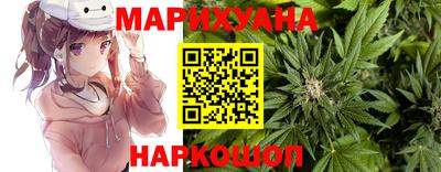 тгк Новокубанск