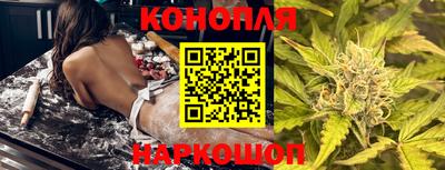 ешки Новодвинск