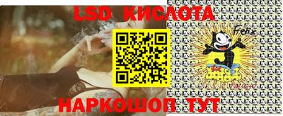 тгк Новокубанск