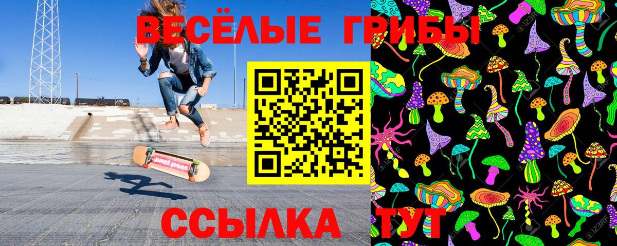 Галлюциногенные грибы мицелий  Вход с VPN  Сосновоборск  Галлюциногенные грибы ЛСД 