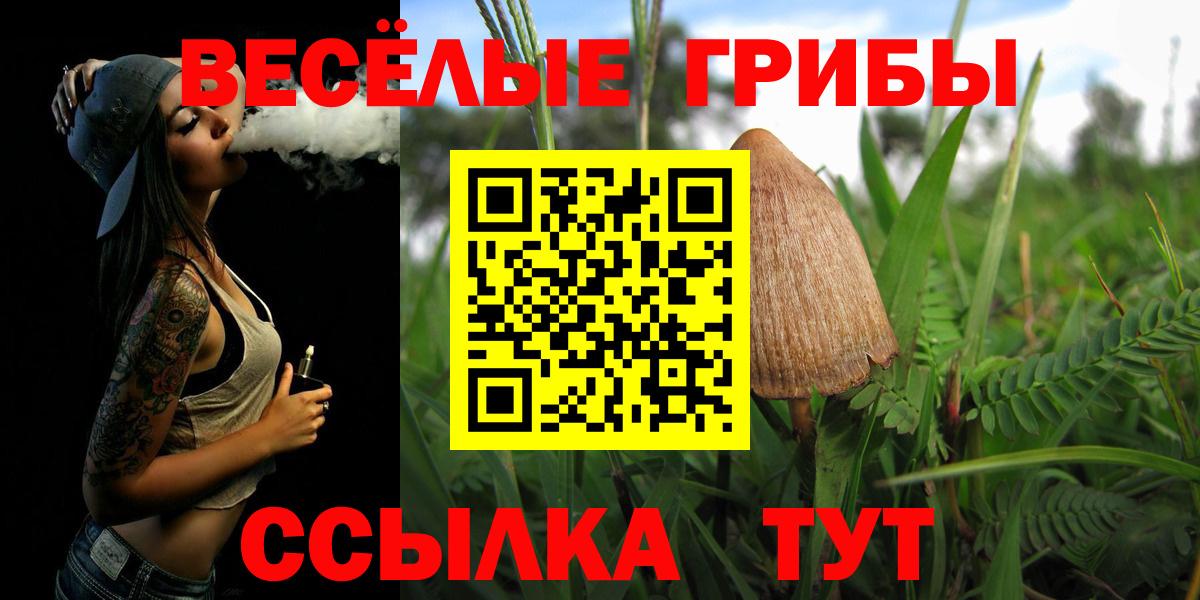 Псилоцибиновые грибы MAGIC MUSHROOMS Сосновоборск